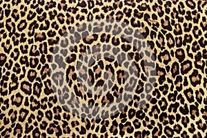 Leopard effect fabric pattern background sample. African style, leopard print, seamless.