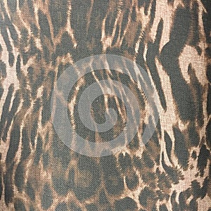 Leopard print material fabric pattern background