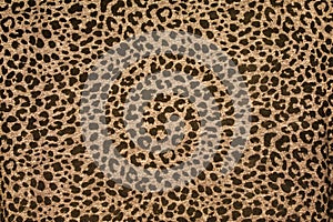 Leopard print pattern. Animal texture fabric background sample. Jaguar skin background.