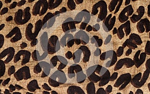 Leopard print pattern. Animal texture fabric background sample. Jaguar skin background.