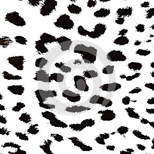 Leopard print pattern. Repeating seamless vector