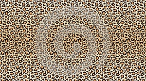 Leopard print pattern. Seamless pattern of leopard skin. Fashionable cheetah fur texture