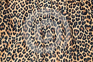 Leopard print picture, Leopard print image, cloth pattern texture.