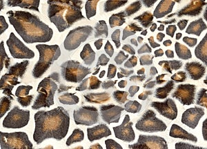 Leopard print on thick mass-produced upholstery fabric. Animal skin abstract pattern. Background from synthetic wool