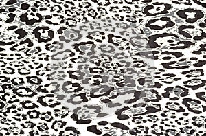 Leopard print on thin, mass-produced silk fabric. Animal skin abstract pattern. Jaguar, leopard, cheetah, panther. Black and white