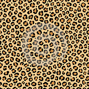 Leopard print. Vector seamless texture. Spotted animal pattern