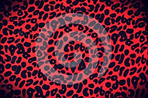 Leopard print vintage banner