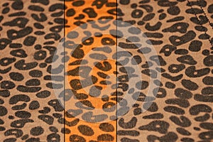 Leopard print vintage banner
