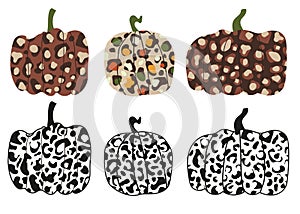 Leopard pumpkin autumn thanksgiving vector illustration