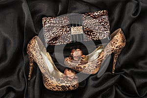 Leopard purse and leopard shoes