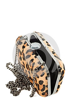 Leopard purse opened isolated on white background