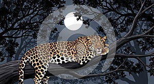 leopard resting on tree branch under moonlit night