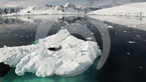 Leopard Seal sleeping on an Iceberg in Antarctica.