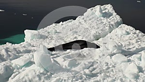 Leopard Seal sleeping on an Iceberg in Antarctica.