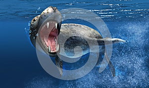 Leopard seal under water with close up on head and open mouth.