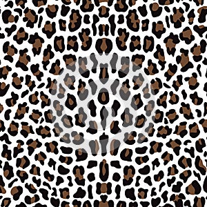 Leopard Seamless Pattern