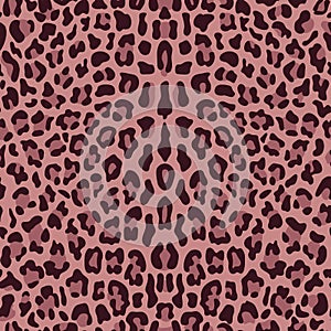 Leopard Seamless Pattern