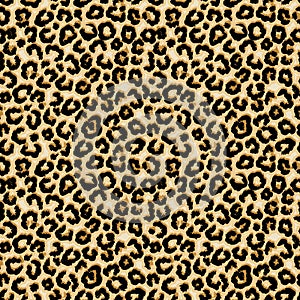 Leopard seamless pattern