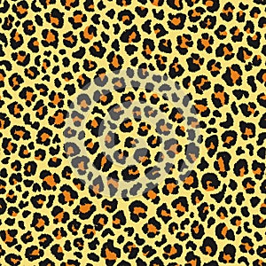 Leopard seamless pattern. Animal print. Vector background