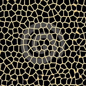 Leopard seamless pattern. Animal print. Vector background