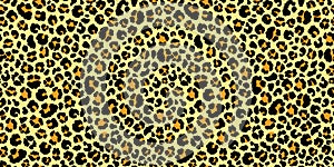 Leopard seamless pattern. Animal print. Vector background
