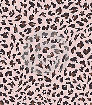 Leopard seamless pattern design . vector illustration background
