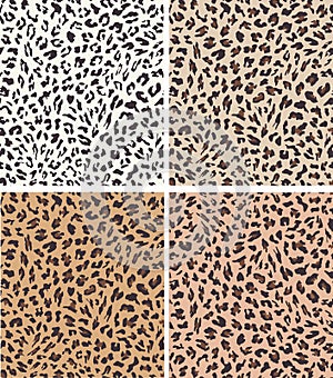 Leopard seamless pattern design . vector illustration background