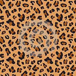 Leopard seamless pattern design, vector illustration background