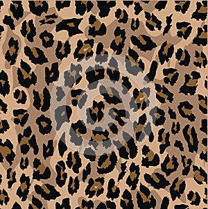 Leopard seamless pattern design . vector illustration background