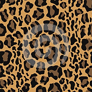 Leopard seamless pattern design, Wildlife fur skin design illustration