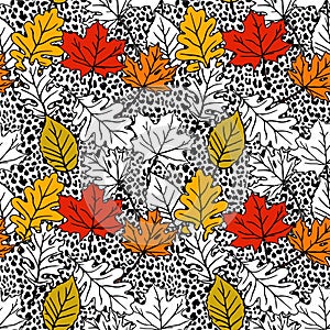Leopard seamless pattern with hand drawn colorful maple, oak, beech leaves. Autumn, fall design. Trendy illustration