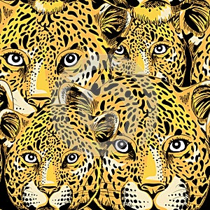 Leopard seamless pattern