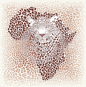 Leopard seamless pattern, vector illustration background with Africa map