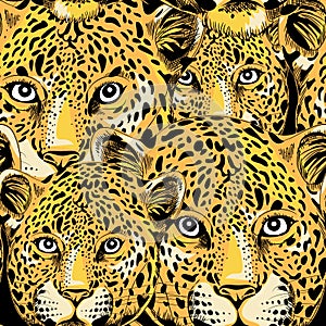 Leopard seamless pattern. Vector illustration on black background