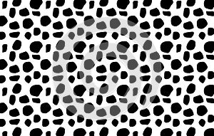 Leopard seamless pattern on white background.