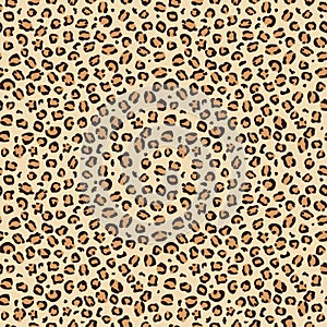 Leopard seamless print pattern animal vector skin texture