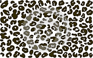 Leopard seamless svg pattern design vector illustration