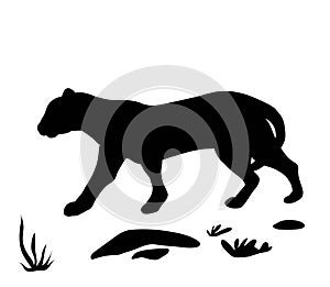 Leopard Silhouette Vector Image. clipart. isolated.