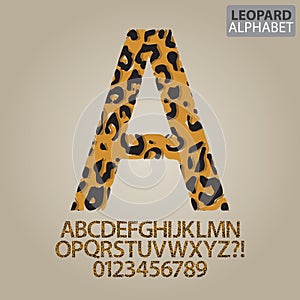 Leopard Skin Alphabet and Numbers Vector