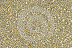 Leopard skin background