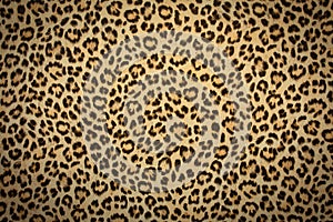 leopard skin background texture, real fur retro design, close-up wild animail hair modern