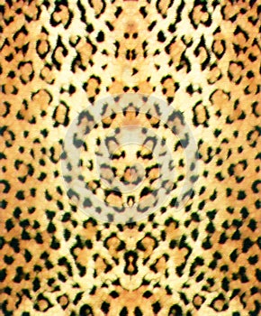 Leopard skin in chalks photo