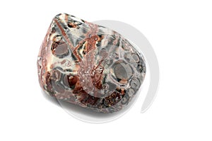 Leopard Skin Jasper