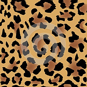 Leopard skin pattern