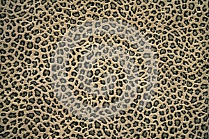 Leopard skin pattern photo