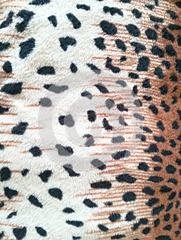 leopard skin pattern closeup background animal fur