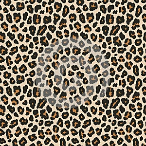 Leopard skin pattern. Vector seamless texture. Animal print, jaguar, cheetah