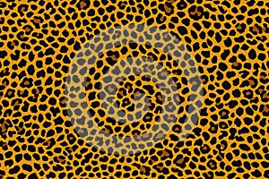 Leopard skin, Seamless animal pattern for design