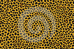 Leopard skin, Seamless animal pattern for design