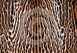 Leopard skin texture